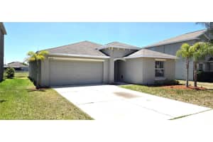 10033 Crested Fringe Dr, RIVERVIEW