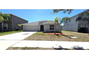10033 CRESTED FRINGE DRIVE, RIVERVIEW, FL 33578 - MLS#MFRL4961159