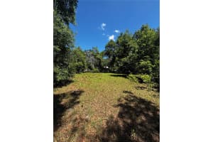 7027 CHARLES HUMPHREY ROAD, PLANT CITY, FL 33565 - MLS#MFRL4961181