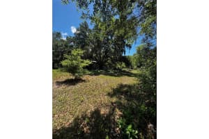 7027 CHARLES HUMPHREY ROAD, PLANT CITY, FL 33565 - MLS#MFRL4961181
