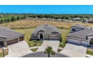 13112 WELLSPRING DRIVE, LITHIA, FL 33547 - MLS#MFRL4961196