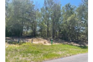 1342 HOMOSASSA DRIVE, POINCIANA, FL 34759 - MLS#MFRL4961204