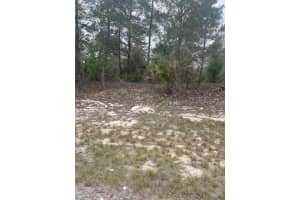 1342 HOMOSASSA DRIVE, POINCIANA, FL 34759 - MLS#MFRL4961204