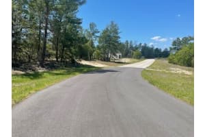 1342 HOMOSASSA DRIVE, POINCIANA, FL 34759 - MLS#MFRL4961204