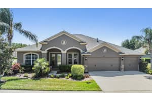 8721 CRYSTAL CREEK COURT, LAND O LAKES, FL 34638 - MLS#MFRL4961391