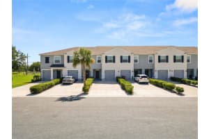3830 Sunflower Field Pl, PLANT CITY