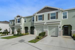 11385 CRESCENT DEER DRIVE, LAND O LAKES, FL 34638 - MLS#MFRL4961702