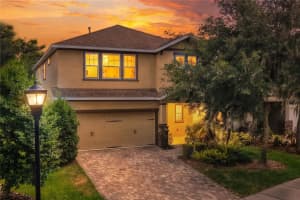 16302 Bayberry View Dr, LITHIA 16302 Bayberry View Dr, LITHIA