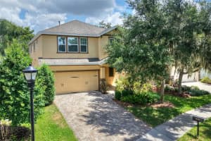 16302 BAYBERRY VIEW DRIVE, LITHIA, FL 33547 - MLS#MFRL4962068