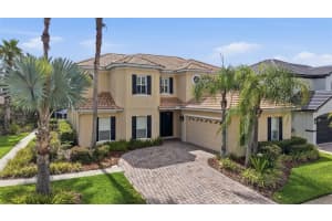 18043 Cozumel Isle Dr, TAMPA 18043 Cozumel Isle Dr, TAMPA