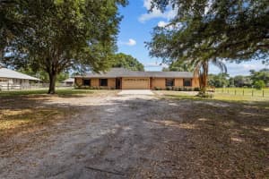 8675 TOM COSTINE ROAD, LAKELAND, FL 33809 - MLS#MFRL4962622
