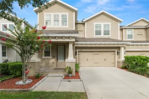 14621 ROCKY BROOK DRIVE, TAMPA, FL 33625 - MLS#MFRL4962680