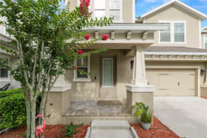 14621 ROCKY BROOK DRIVE, TAMPA, FL 33625 - MLS#MFRL4962680