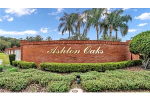 881 ASHTON OAKS CIRCLE, LAKELAND, FL 33813 - MLS#MFRL4962727
