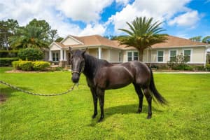 5112 Howard Creek Rd, Sarasota, FL 34241, Sold 02/07/22