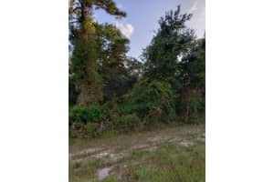 21035 HILLSBOROUGH BOULEVARD, PORT CHARLOTTE, FL 33954 - MLS#MFRN6117938