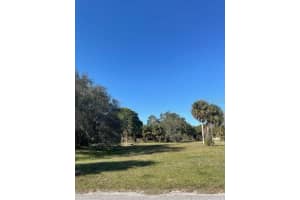 243 ANNAPOLIS LN, ROTONDA WEST, FL 33947 - MLS#MFRN6119923