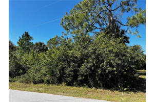 191 RAMBLEWOOD STREET, PORT CHARLOTTE, FL 33953 - MLS#MFRN6120174