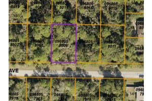 LOT 9 CANTOR AVENUE, NORTH PORT, FL 34291 - MLS#MFRN6121811