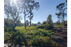 776 LAKE AUGUST DRIVE, LAKE PLACID, FL 33852 - MLS#MFRN6124650