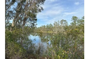 12135 LUDDEN COURT, PUNTA GORDA, FL 33955 - MLS#MFRN6130333