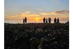 908 VILLAS DRIVE, VENICE, FL 34285 Sold 06/07/24