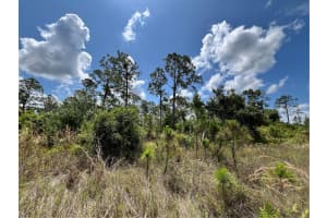 109 HAWKE STREET, PORT CHARLOTTE, FL 33953 Sold 08/21/25