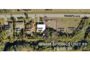 TRIONFO AVE #Lot 66, NORTH PORT, FL 34287 Sold 07/25/25
