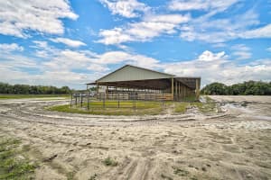 27000 HARRISON ROAD, SIDELL, FL 34266 Sold 08/15/25