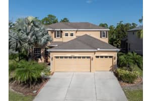 2585 Hobblebrush Dr, NORTH PORT