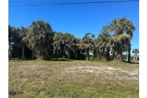 47 LONG MEADOW LANE, ROTONDA WEST, FL 33947 - MLS#MFRN6135425
