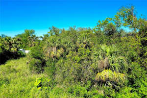 20136 SUSAN AVENUE, PORT CHARLOTTE, FL 33952 - MLS#MFRN6135712