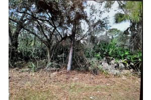 LOT 21 SURF AVENUE, NORTH PORT, FL 34291 Sold 01/12/26