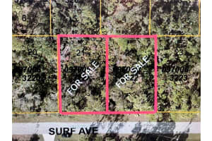 Lot 22 SURF AVENUE, NORTH PORT, FL 34291 Sold 01/12/26