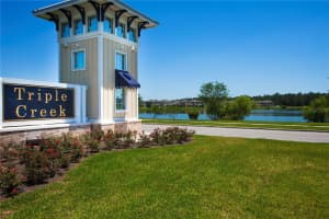 13237 SATIN LILY DRIVE, RIVERVIEW, FL 33579 Sold 03/03/25