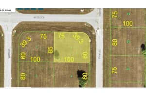 46 THRUSH DRIVE, PLACIDA, FL 33946 - MLS#MFRN6136627