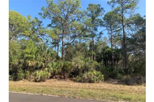 1194 MALLET LANE, PORT CHARLOTTE, FL 33953 - MLS#MFRN6137031