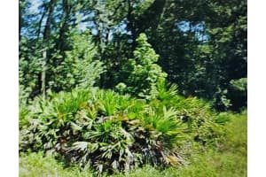 NW 10TH PL, OCALA, FL 34482 - MLS#MFRN6137474