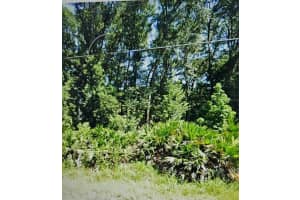 NW 10TH PL, OCALA, FL 34482 - MLS#MFRN6137474