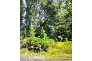 NW 10TH PL, OCALA, FL 34482 - MLS#MFRN6137474