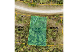 FARVIEW DR, NORTH PORT, FL 34288 - MLS#MFRN6137580