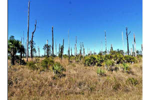 EWEN CIR, NORTH PORT, FL 34288 Sold 02/25/26