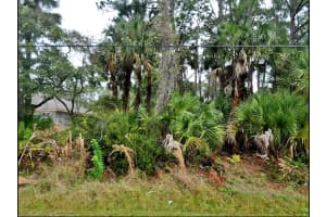 SARDINIA AVE, NORTH PORT, FL 34286 Sold 05/21/25