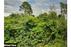 12476 BIRTLE AVENUE, PORT CHARLOTTE, FL 33981 - MLS#MFRN6137985