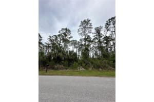 DOOLING ST, NORTH PORT, FL 34291 Sold 04/30/25