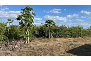 CORTEZ LN, NORTH PORT, FL 34287 - MLS#MFRN6138645