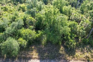 HAMERTON RD, NORTH PORT, FL 34288 Sold 07/30/25