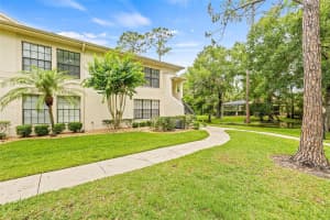 3382 MERMOOR DRIVE, PALM HARBOR, FL 34685 - MLS#MFRN6138878