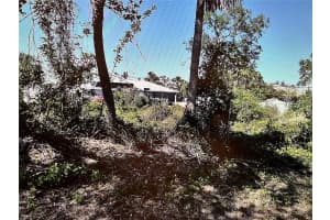 LOTS 13319, 13320 & E 1/2 RUTGERS ROAD, VENICE, FL 34293 Sold 07/14/25