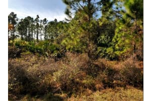 FILBERT ST, NORTH PORT, FL 34288 Sold 08/19/25